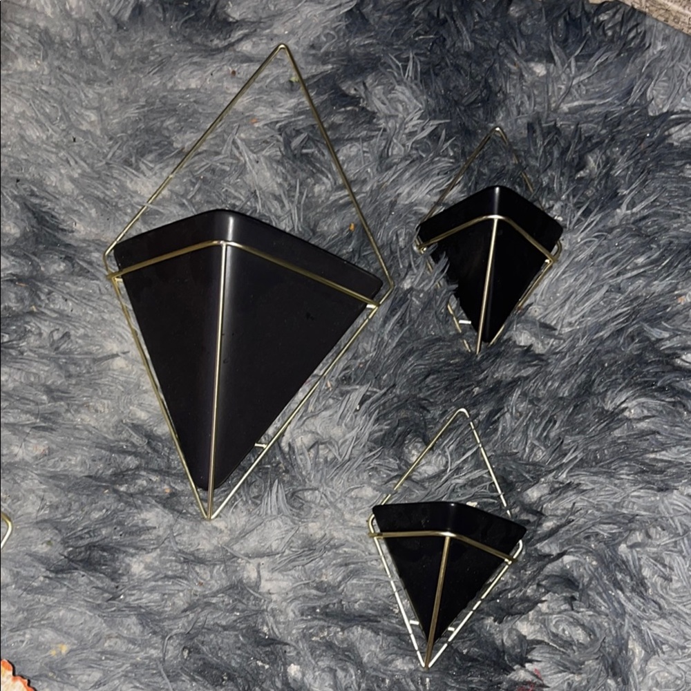 Black Geometric Wall Planters with Metal Frame